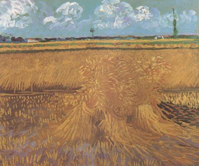  Wheat Field with Sheaves (nn04)